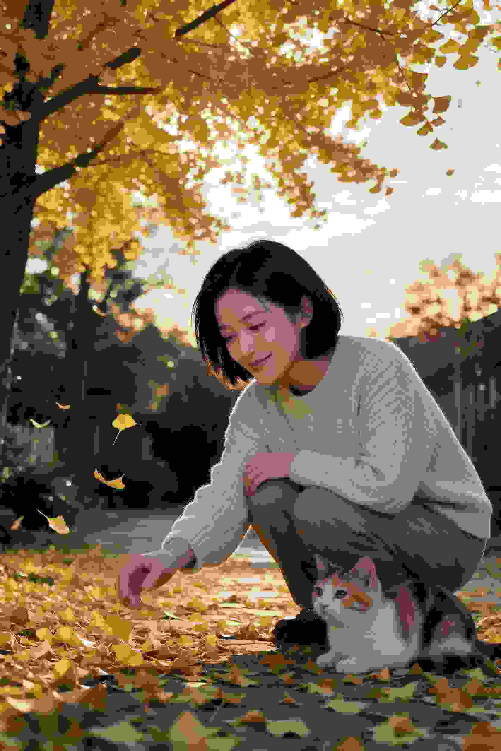 光影中的梦